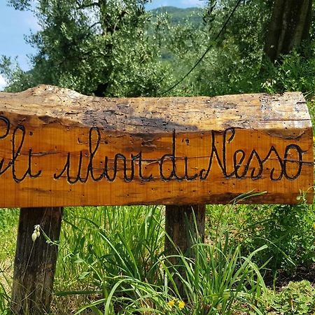 Gli Ulivi Di Nesso Villa Luaran gambar