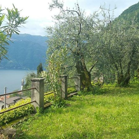 Gli Ulivi Di Nesso Villa Luaran gambar