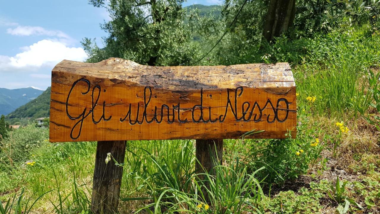Gli Ulivi Di Nesso Villa Luaran gambar