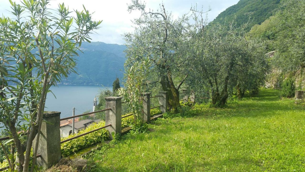 Gli Ulivi Di Nesso Villa Luaran gambar