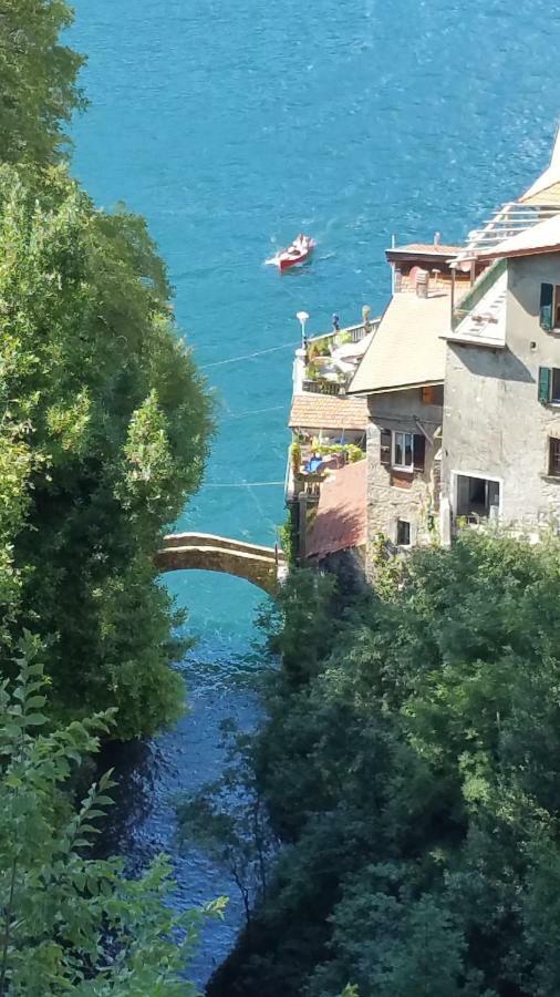 Gli Ulivi Di Nesso Villa Luaran gambar