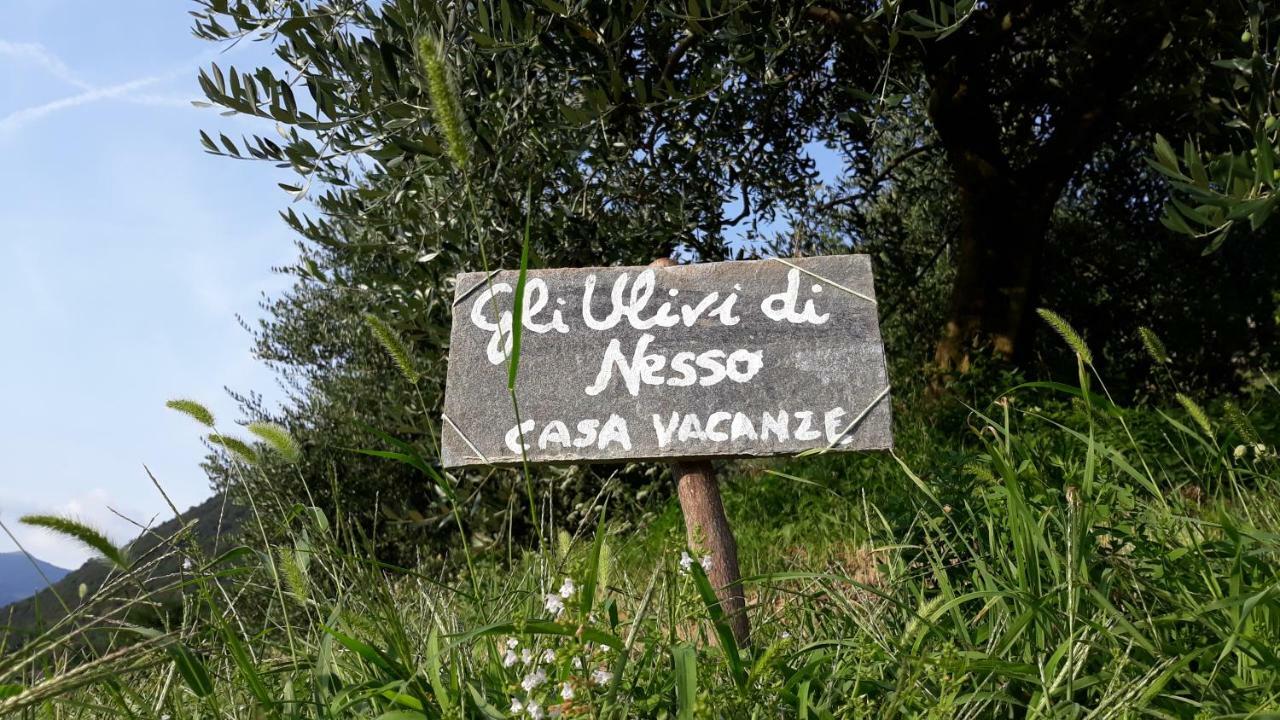 Gli Ulivi Di Nesso Villa Luaran gambar